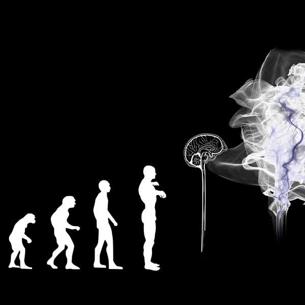 Schaubild der Evolution vom Affen bis zur Künstlichen Intelligenz