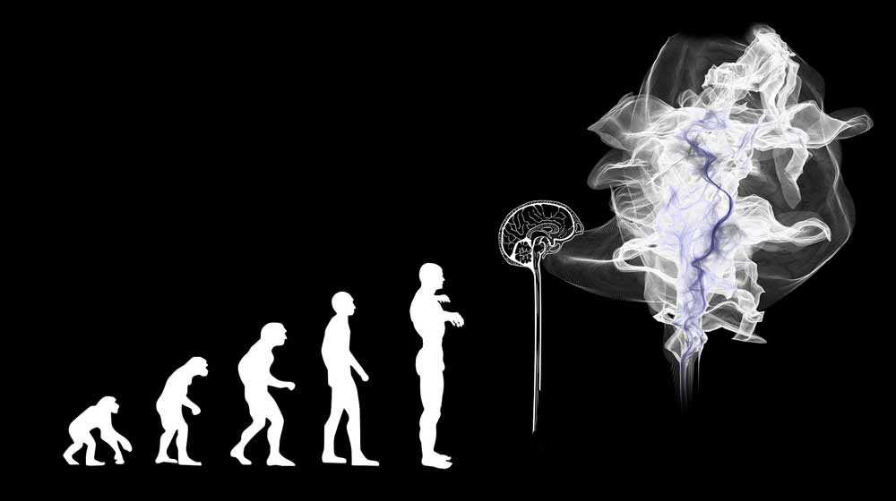 Schaubild der Evolution vom Affen bis zur Künstlichen Intelligenz
